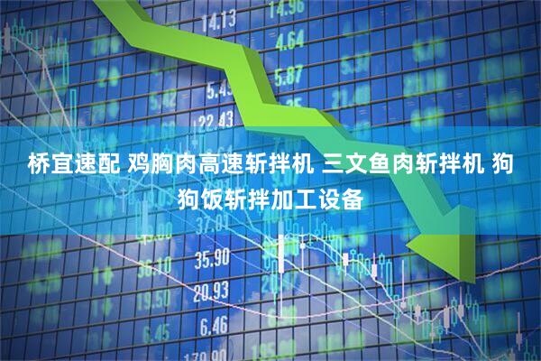 桥宜速配 鸡胸肉高速斩拌机 三文鱼肉斩拌机 狗狗饭斩拌加工设备