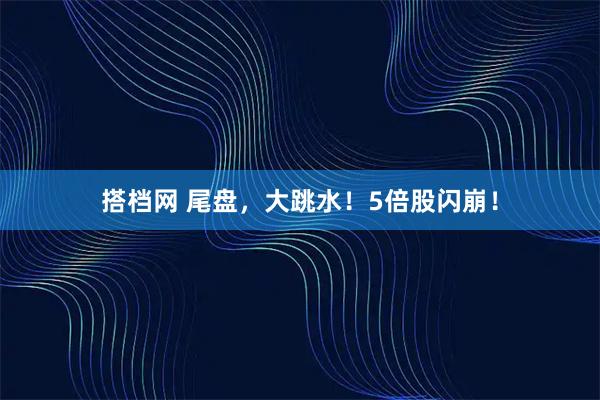 搭档网 尾盘，大跳水！5倍股闪崩！