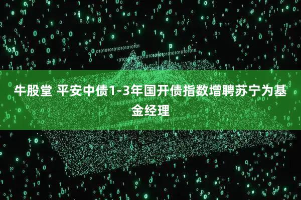 牛股堂 平安中债1-3年国开债指数增聘苏宁为基金经理