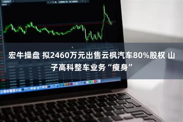 宏牛操盘 拟2460万元出售云枫汽车80%股权 山子高科整车业务“瘦身”