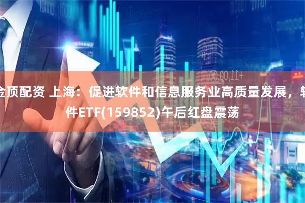 金顶配资 上海：促进软件和信息服务业高质量发展，软件ETF(159852)午后红盘震荡