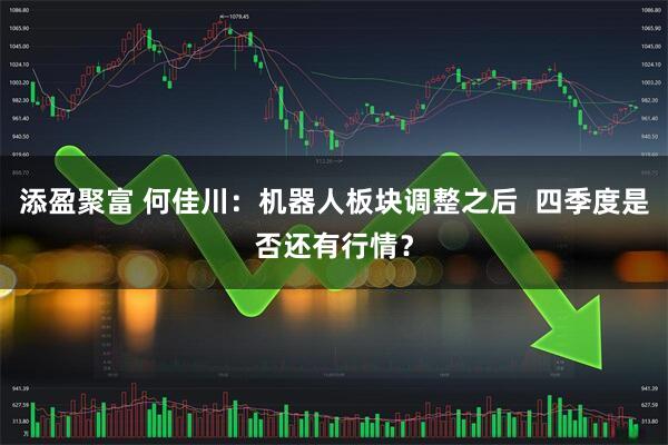 添盈聚富 何佳川：机器人板块调整之后  四季度是否还有行情？