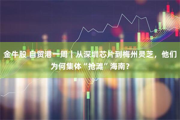 金牛股 自贸港一周｜从深圳芯片到梅州灵芝，他们为何集体“抢滩”海南？