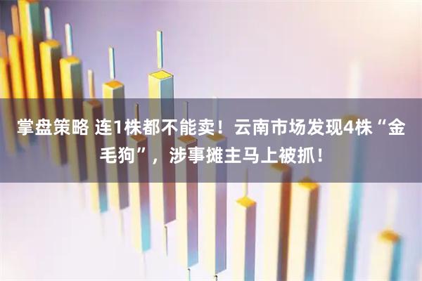 掌盘策略 连1株都不能卖！云南市场发现4株“金毛狗”，涉事摊主马上被抓！